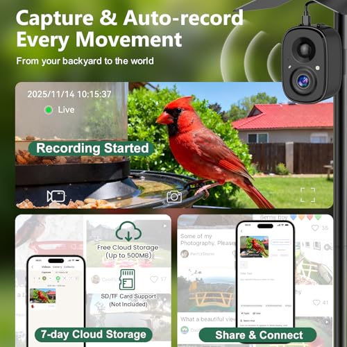 Smart Bird Camera Solar Powered with Pole for Feeder/Bath Birdwatching | 2.5K UHD Video Auto Capture, Free AI Bird Identification, Instant Alerts, Wireless Outdoor Cam, 2.4G, for Mom/Dad/Bird Lovers