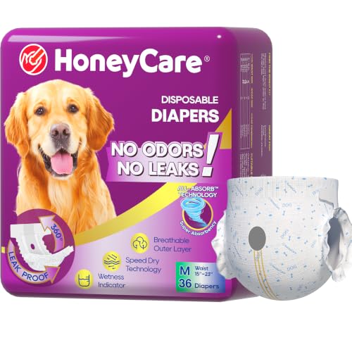 HONEY CARE All-Absorb Disposable Female Dog Diapers M Size, Improved Bigger Size, 36 Count, Super Absorbent, Breathable, Wetness Indicator (Pack of 1, 36 Count Total) - size: Medium (Pack of 1)
