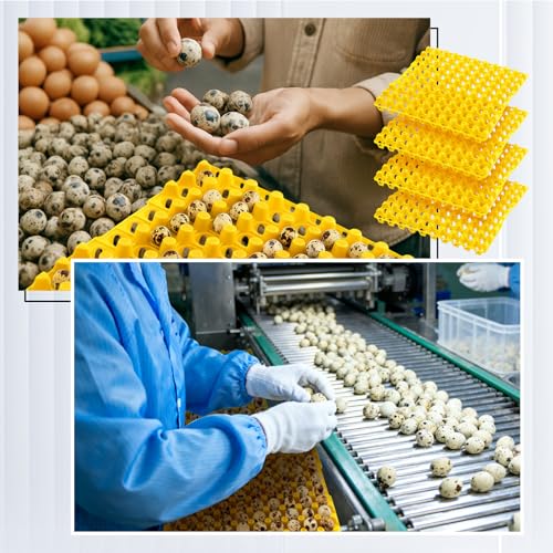 Teenyyou 10 Pcs 90 Egg Plastic Trays Quail Egg Flats Holder for Quail Pigeon Dove Bird Flat Carton (Yellow) - color: Yellow