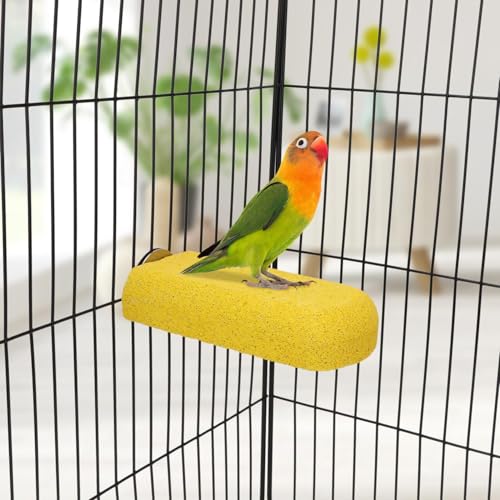 Hypeety Bird Beak Grinding Stone Cage Calcium Mineral Paw Grinding Block | Natural calcium stone, provides calcium and beak care, durable chew-proof, for parrot/chinchilla/hamster, 1pc, random color - color: Perch Stand