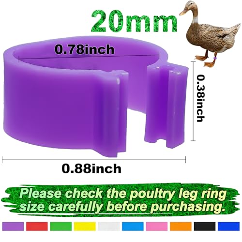 100 Pcs 20mm Duck Identification Leg Bands with 10 Color, Chicken Duck Ankle Tags Poultry Leg Foot Rings for Ducks Chicken Guinea Goose Gamefowl Turkey - size: 20mm - 100pcs
