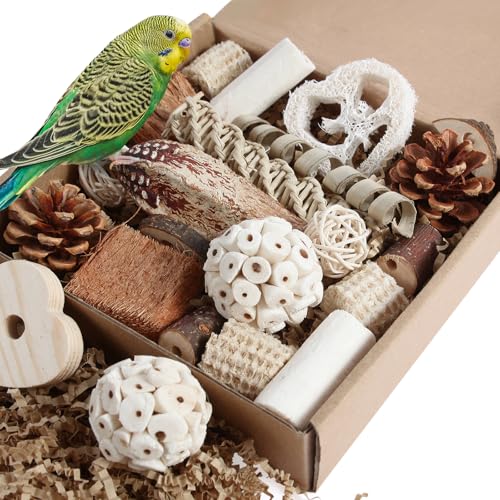 Kyouki Bird Toys Parrot Toys Natural Bird Foraging Box Foot for Parakeets,Cockatiels,Conures,Love Birds,and Other Small to Medium Birds (Medium) - size: Medium
