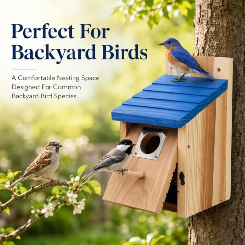 Wooden Birdhouse, Natural Cedar Nesting Box with Blue Roof, Predator Guard, Cleanable Door for Finch, Wren, Sparrow
