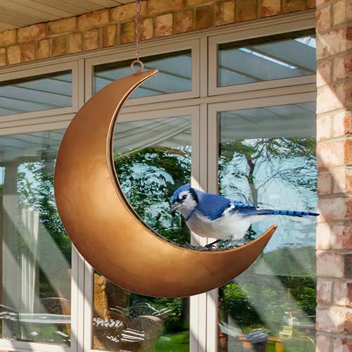 Hanging Moon Bird Feeder – Unique Metal Bird Feeders for Outdoors, Antique Gold, Rust-Resistant, – Wild Bird Feeder for Bluebirds, Cardinals, Finches, and Backyard Birdwatching - color: Antique Gold