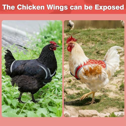 3 Pcs Chicken Saddle for Hens with Wing Protector, Chicken Apron & Vest Jacket with Adjustable Straps, Oxford Waterproof Fabric, Protective Gear Against Pecking and Feather Damage