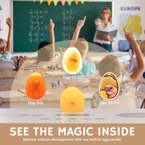 iPettie ProHatch56 Egg Incubator for Hatching Eggs with Automatic Egg Turning & Humidity Temperature Control, 56 Eggs Capacity for Chicken Eggs, Duck Eggs, Quail Eggs, Temperature Alarms