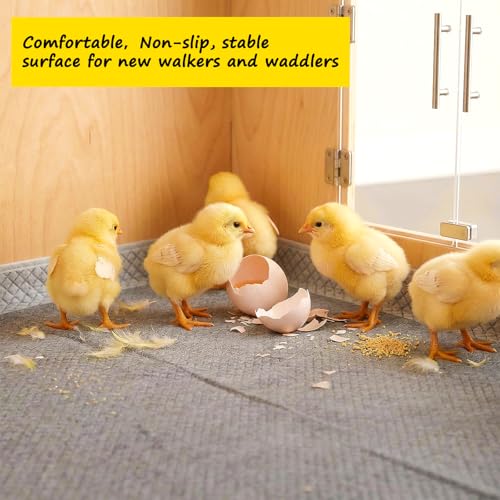 10 Pack Chick Brooder Liners Chick Bedding Bamboo Charcoal Hatchling Liners Keep Waterproof Dry for Baby Chicks, Ducklings, and More