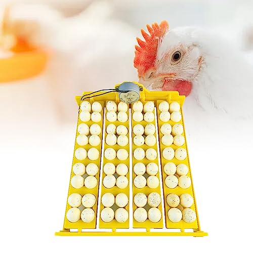 Automatic Egg Turning Tray for Incubator Multifunction Egg Hatcher Tray for 16 Duck Eggs 72 Quail Eggs, for Egg Incubation and Hatching (AC110V) - size: AC110V, style: AC110V