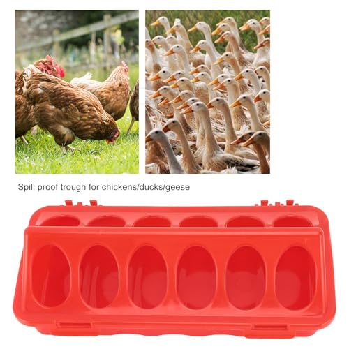 5PCS Flip Top Small Poultry Feeder, 12 Hole Pigeon Feeding Tray No Mess Feeding and Drinking Dispenser for Duck Quails Birds