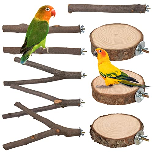 9 PCS Natural Wood Bird Perch, Wooden Parrot Perch Stand | Bird Cage Branches Platform Accessories for Parakeets Cockatiels Conures Macaws Finches Love Birds - color: 9Pcs