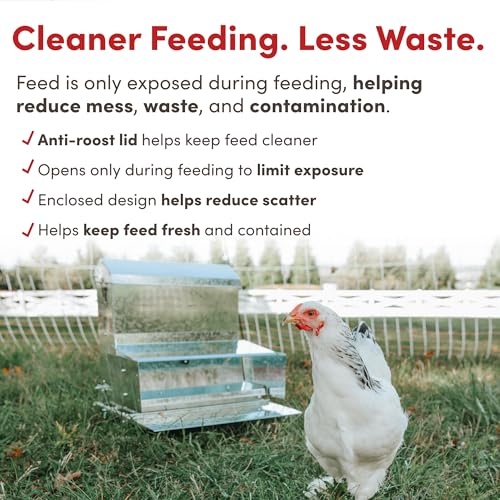 RentACoop Automatic Treadle Chicken Feeder - 40 lb Capacity - style: 40LB Treadle Feeder