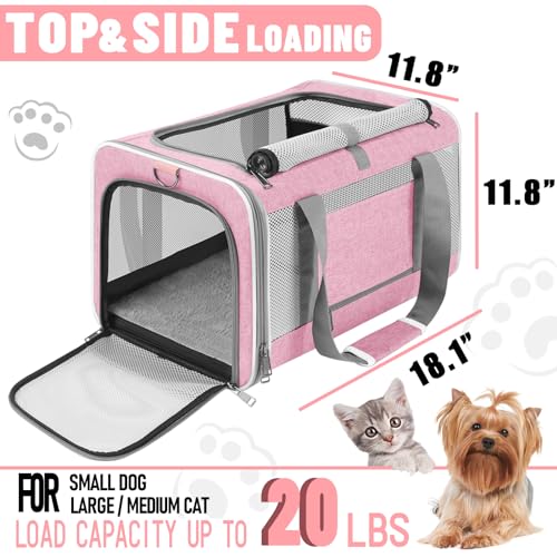GAPZER Large Cat Carrier Soft, Collapsible Travel Pet Carry Bag, Small Dogs | Big Kitten Cat 20lbs Mainecoon, Top Open Travel Shih-Tzu Pet Kennel, Yorkie Small Dog 10 Pounds, 18x12x12, Durable Cloth Pink - color: Pink