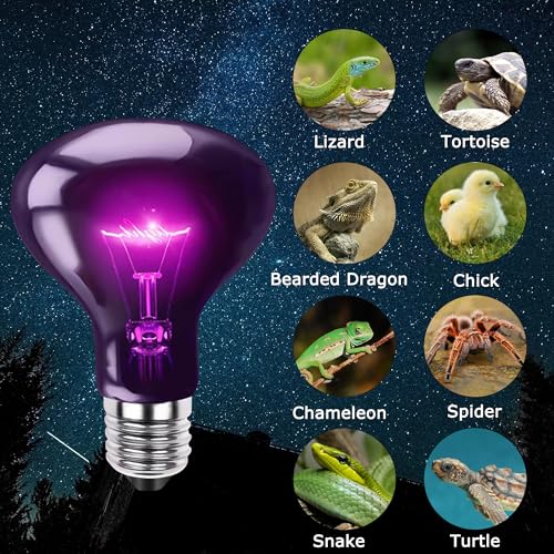 100W Reptile Moonlight Heat Lamp, Purple Night Basking Bulb | Creates a Natural Nighttime Environment, Perfect for Night Viewing of Reptiles & Amphibians, Ideal for Terrarium Habitats - color: Moonlight Heat Lamp, size: 100W Upgraded - 3.1"