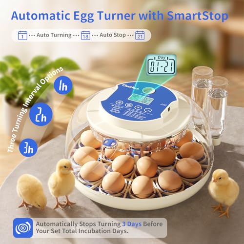 Egg Incubators for Hatching Eggs, 18 Chicken or 8 Large Eggs Incubator | Dual Egg Trays, Auto Egg Turning, Auto Water Refill, Turning Timer, Incubation Timer, 360° Viewing & Built-in Egg Candler - color: Blue, size: 18 Eggs