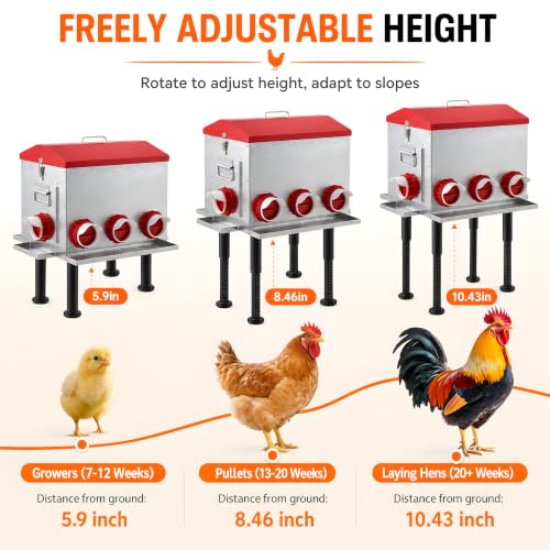 55 LB 10-Gallon Automatic Chicken Feeder, Large Metal Poultry Feeder with Window, 4-Sided No-Waste Feeding Design, Rust-Resistant Steel with Adjustable Legs for Outdoor Coops