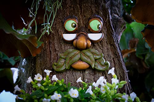 Tree Faces Decor - Outdoor Yard Art Garden Decoration - Unique Peeker for Outdoors and Indoors - Old Man Tree Hugger Art - style: Tree Face Glow in the Dark