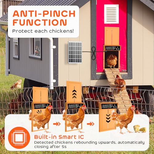 Asfrost Automatic Chicken Coop Door Solar Powered Automatic Chicken Door with Timer & Light Sensor, Anti-Pinch, Durable Aluminum Auto Chicken Door, Charge with 7W Solar Panel & USB - Orange | Timer & Light Sensor Auto Chicken Door for Small Poultry,Solar