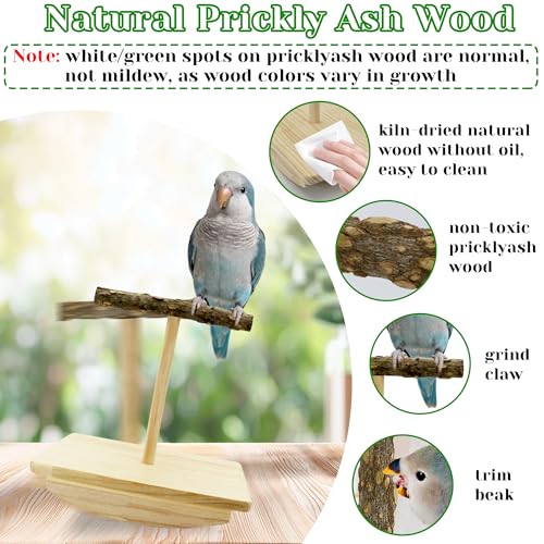 Natural Wood Bird Perch Stand Training, Quaker Parrot Toys, Puzzle | Intelligence Enrichment Toys for Parakeets, Parrot Perch Platform for Large Birds, Bird Playground Play Stands for Sun Conure