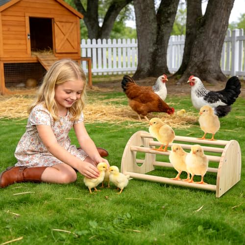 Pine Chicks Perch with Mirror, Strong Chick Jungle Gym Roosting Bar, Chicken Perch Toys for Coop and Brooder, Training Perch Toys for Large Bird, Parrot, Macaw, Hens (Large) - size: Large
