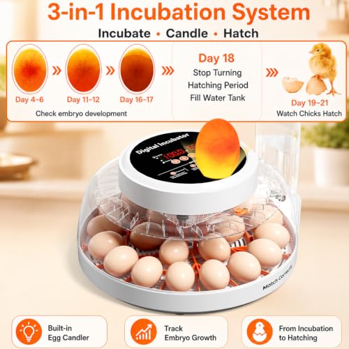 Upgraded Egg Incubators for Hatching Eggs, 22 Egg Incubator with Automatic Egg Turning, Temperature Control & Humidity Display, LED Candler, Incubator for Chicken, Duck, Quail Eggs - size: 22 EGGS