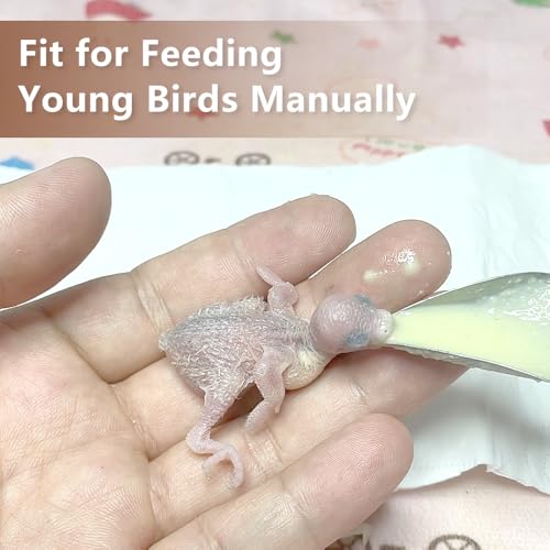 6 Pcs Bird Parrot Feeder Spoon Stainless Steel Hand Feeding Scoops for Small Birds