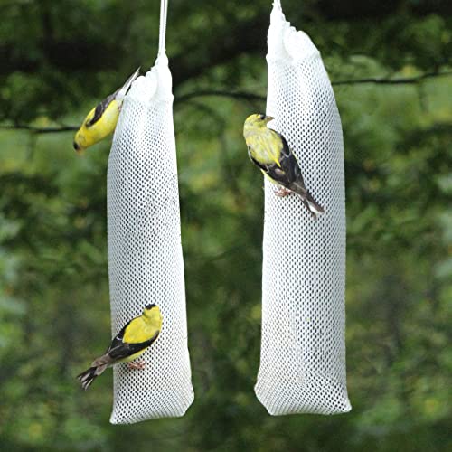 Happy Wings 26Oz Thistle Seed (Nyjer) Bird Food Prefilled Sock, No Grow | Oil Rich, High Fat & Energy Content, Single Grain, USDA & BRC-GS Approved, Finches, Sparrows, Chickadees, Cardinals, No Mess - size: 13 Ounce (Pack of 2)