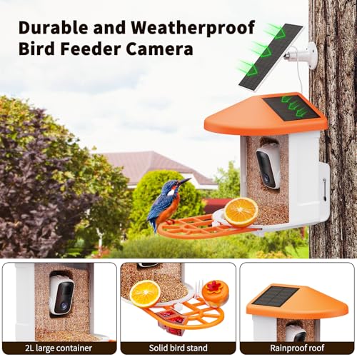 Bird Feeder with Camera | AI Identify Birds Species, Solar Powered, Smart Bird House with Cam, 2K HD Video Live Stream, Instant Arrival Alerts - Orange - color: Orange