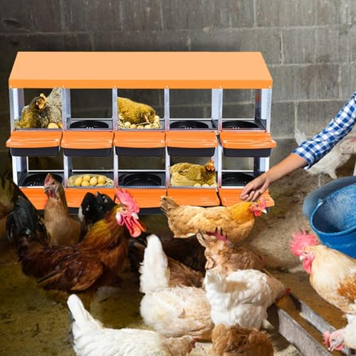 10-Hole Chicken Nesting Box with Removable Lid, Metal Chicken Coops with Roll Away Design/Easy Egg Collection/Ventilation Holes, for Chickens Coops, Duck and Hens - color: Orange, size: 10 holes without legs