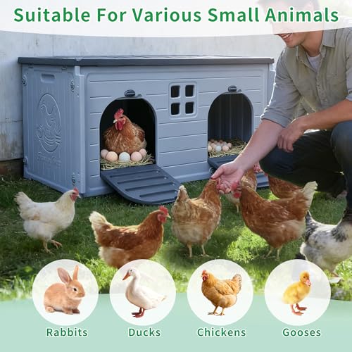 Nesting Boxes for Chickens, Plastic Chicken Nesting Box with Door Or Ramp | Waterproof 2 Compartment Chicken Nesting Box for Laying Eggs for Hens, Ducks and Poultry, Clean and Assemble Easily - color: Grey, size: 41.0"L x 20.8"W x 20.3"H