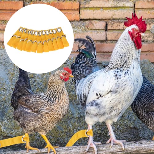 Yellow Tie Cord Hitches, Leash for Game Fowl, Chicken Strap for Poultry, Egg Homestead Strap Tie Cord, Leash for Game Fowl Birds Calsas para Gallos Hitch, Chicken Supplies Accessories (24)