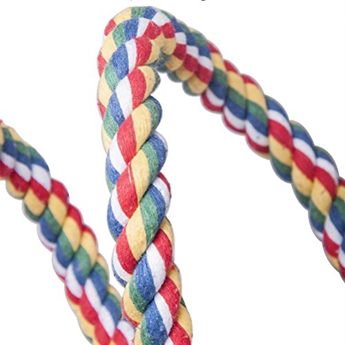 Litewoo Bird Cotton Rope Perch Swing Bird Perch Chew Toy for Parrot African Greys Macaw Eclectus Cockatoo Alexandrine Amazon Cage Swing Stand with Bells (S 39 INCH)