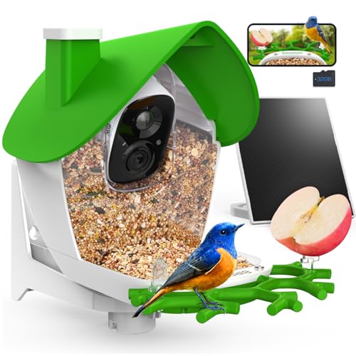 Smart Bird Feeder with Camera Solar Powered 2K HD Live Video with 32GB Card | AI Identifies 10,000+ Bird Species, Instant Alerts, IP65 Waterproof, Easy Setup, Bird Watching Gift for Bird Lovers - color: Light Green