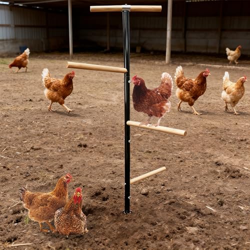 Large Chicken Perch Toys for Coop,Wooden Chicken Roosting Bars with 3 Legs Metal Ground Plug,1.25-Inch Thickened Steel Pipe, Improved and Upgraded Design of Wooden Pole Embedded in The Steel Pipe