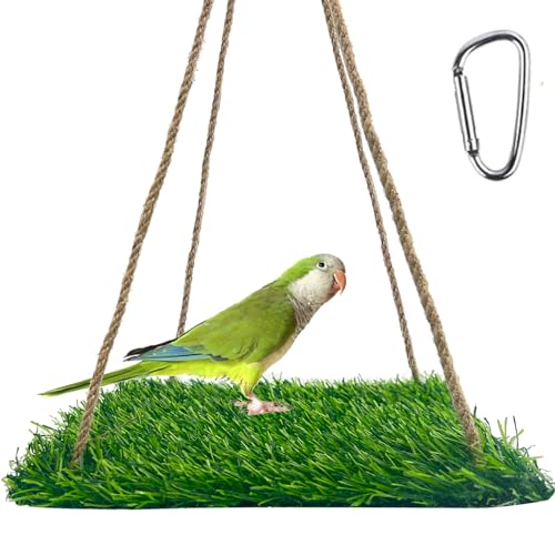 FlidRunest Large Bird Swing Toy, Bird Grass Mat Hammock Swing with Hooks, Parrot Climbing Foraging Toy for Cockatoo,Parakeets,Budgie,Sun Conure, Small to Medium 15.7x7.8 Inches