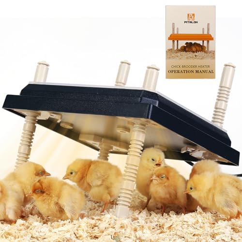 Brooder Heater for Chicks: Chick Brooder Heating Plate with Easy- Cleaning Plate Poultry Coop Heater Chicks Warmer 12" x 12" for 20 Chicks Adjustable Height Brooding Heater 22 Watts - color: Black-12x12