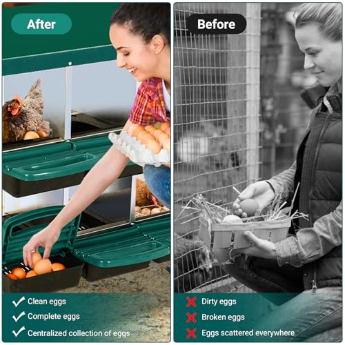 Garvee Chicken Nesting Boxes, 8 Hole Metal Chicken Laying Box with Removable Trays and Roll Out Egg Collection for Chicken Coop, Green - color: red, size: 8 Holes