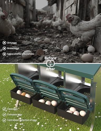 GarveeLife Chicken Nesting Box 3 Hole, Galvanized Steel Nest with Roll Away Egg Collection & Swing Perch, Easy-Clean Laying Box for Hens, Heavy Duty Design for Chicken Coop - color: Green, size: 3 holes with legs