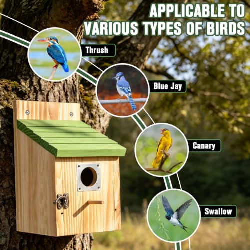 Bird Houses for Outside, 2 Pack Hanging Birdhouse for Outdoor | Wood Nest 1-1/2" Entrance, Metal Guards, Safety Locks, Flight Slots