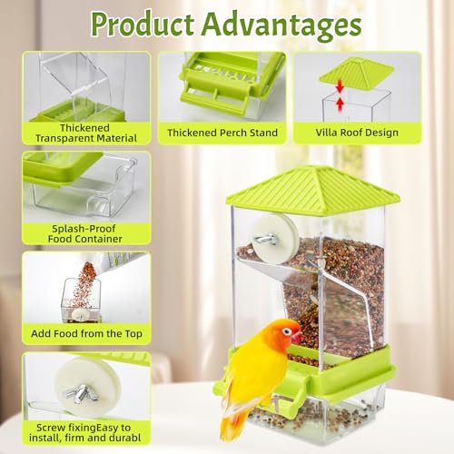 Rypet No-Mess Automatic Bird Feeder for Cage, Parrot Cage Accessories | Transparent Acrylic Food Dispenser, Helps Reduce Seed Scatter, for Parakeet Cockatiel Parrot Canary - color: Transparent A80 Green