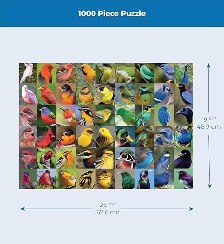 New York Puzzle Company - Cornell Lab Rainbow of Birds - 1000 Piece Jigsaw Puzzle for Adults - color: Rainbow of Birds 1000 Piece