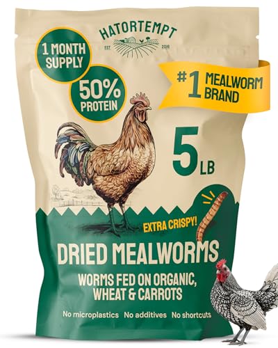 Hatortempt 5lb Dried Mealworms for Chickens & Wild Birds, Chicken Feed | High-Protein Chicken Food - Meal Worms Fed an Organic Diet - Hand Inspected Treats for Laying Hens & Ducks - 2 Yr Shelf Life - size: 5 Pound (Pack of 1)