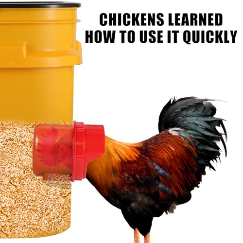 Chicken Feeder No Waste, 6 Ports Automatic Poultry Feeder with Covers & Hole Saw, Rain Proof Chicken Feeder Port for Buckets, Bins & Barrels - color: Red