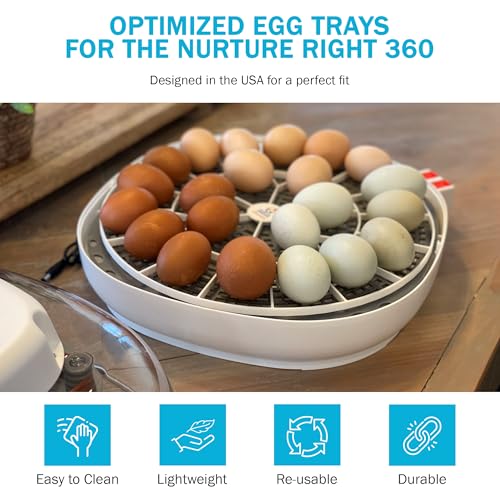 Egg Trays for Nurture Right 360 Egg Incubator,22 Medium Chicken Eggs Keeper