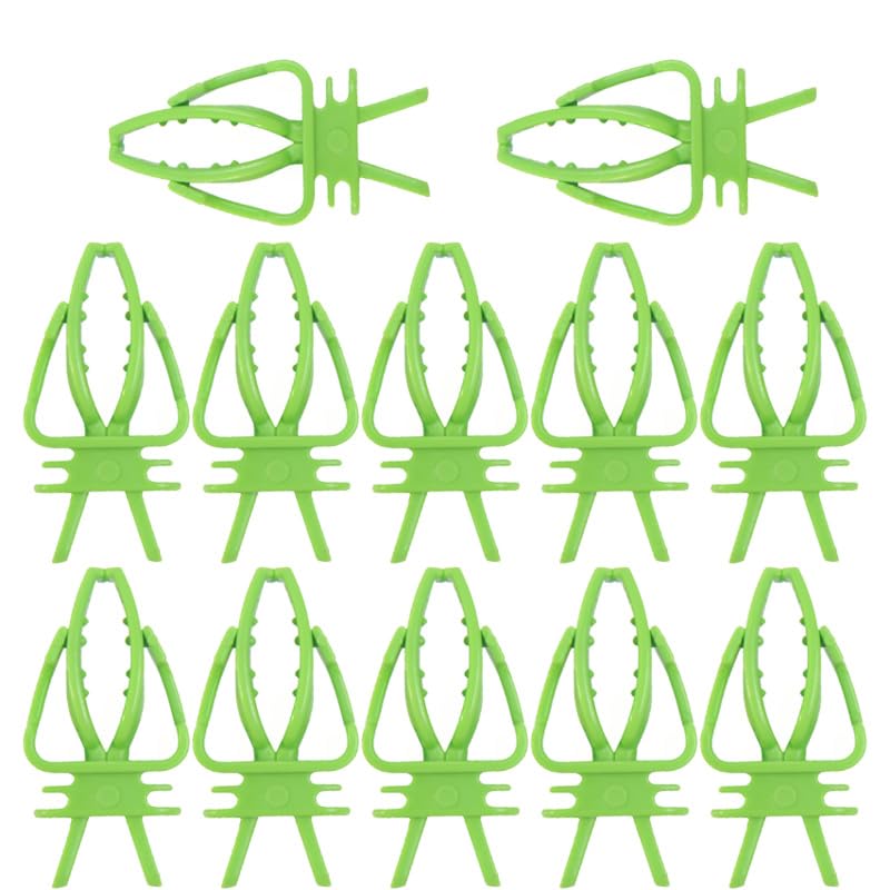 12-Pack Green Bird Cage Food Holder, Vegetable Fruit Holder for Budgie Parakeet Cockatoo Macaw Cockatiel Conure & Small Birds