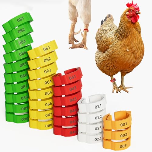 16mm 100 Pcs Adjustable Poultry Leg Bands,Chicken Leg Rings,Duck Leg Bands,5 Colors Laser Engraved Clip Rings for Large Poultry Chicken,Duck,Turkey,Goose Gamefowl Turkey
