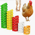 16mm 100 Pcs Adjustable Poultry Leg Bands,Chicken Leg Rings,Duck Leg Bands,5 Colors Laser Engraved Clip Rings for Large Poultry Chicken,Duck,Turkey,Goose Gamefowl Turkey