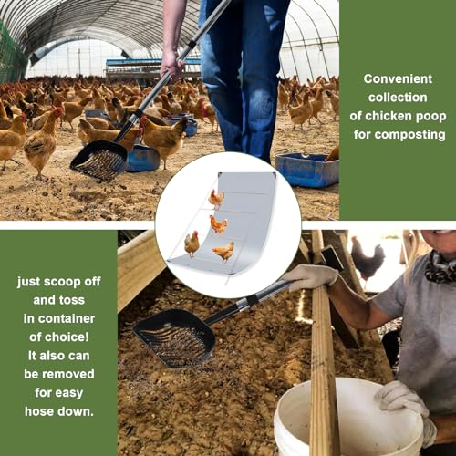 Chicken Coop Poop Hammock Waterproof and UV, 6.5 * 4 FT Poop Deck | with 8pcs Ball Bungees Cords, Chicken Roosting Perch to Catch the Chicken Poop for Poultry（Not Include Perch)