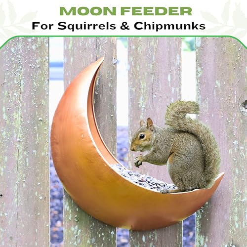 Fence & Tree Mounted Moon Bird Feeder – Cardinal, Squirrel Feeder, Rustic Gold Metal Wall Bird Feeder for Outdoors, Wild Bird Feeder for Bluebirds.