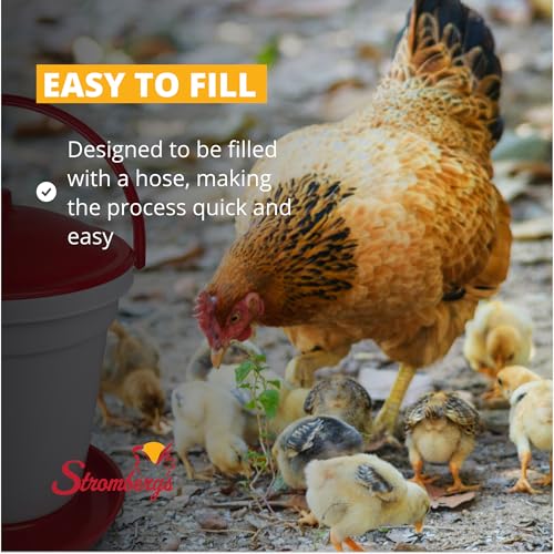 Stromberg's 5 Gallon Bucket Waterer for Chicken Coops, Easy to Fill, Durable, Separate Legs for Elevation, Reduces Bedding in Water, Ideal for Poultry, Suitable for All Seasons, Keeps Water Clean