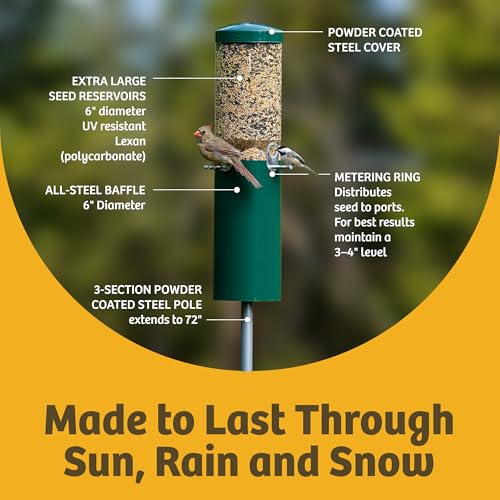 Birds Choice Classic Squirrel Proof Bird Feeder with Pole Mount | Tube Bird Feeder for Cardinals, Chickadees, Woodpeckers | Sturdy Steel for Long-Lasting Use | Backyard Bird Seed Dispenser | Green | Sturdy Steel Tube Seed Dispenser, for Cardinals, Chickad